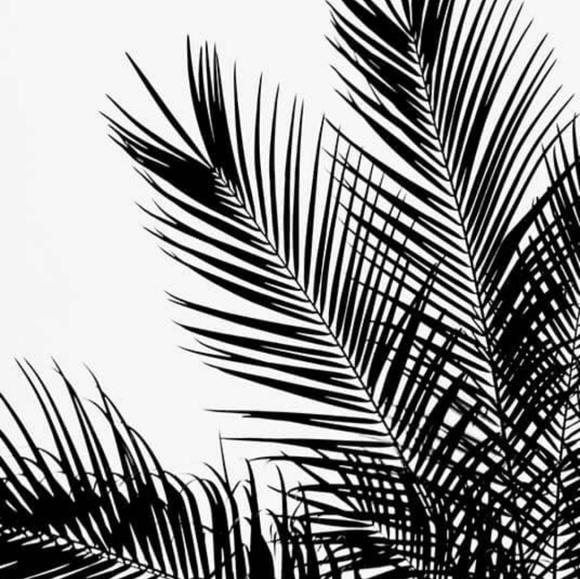 Meet your Posher, Danielle - Picture 1 of 1